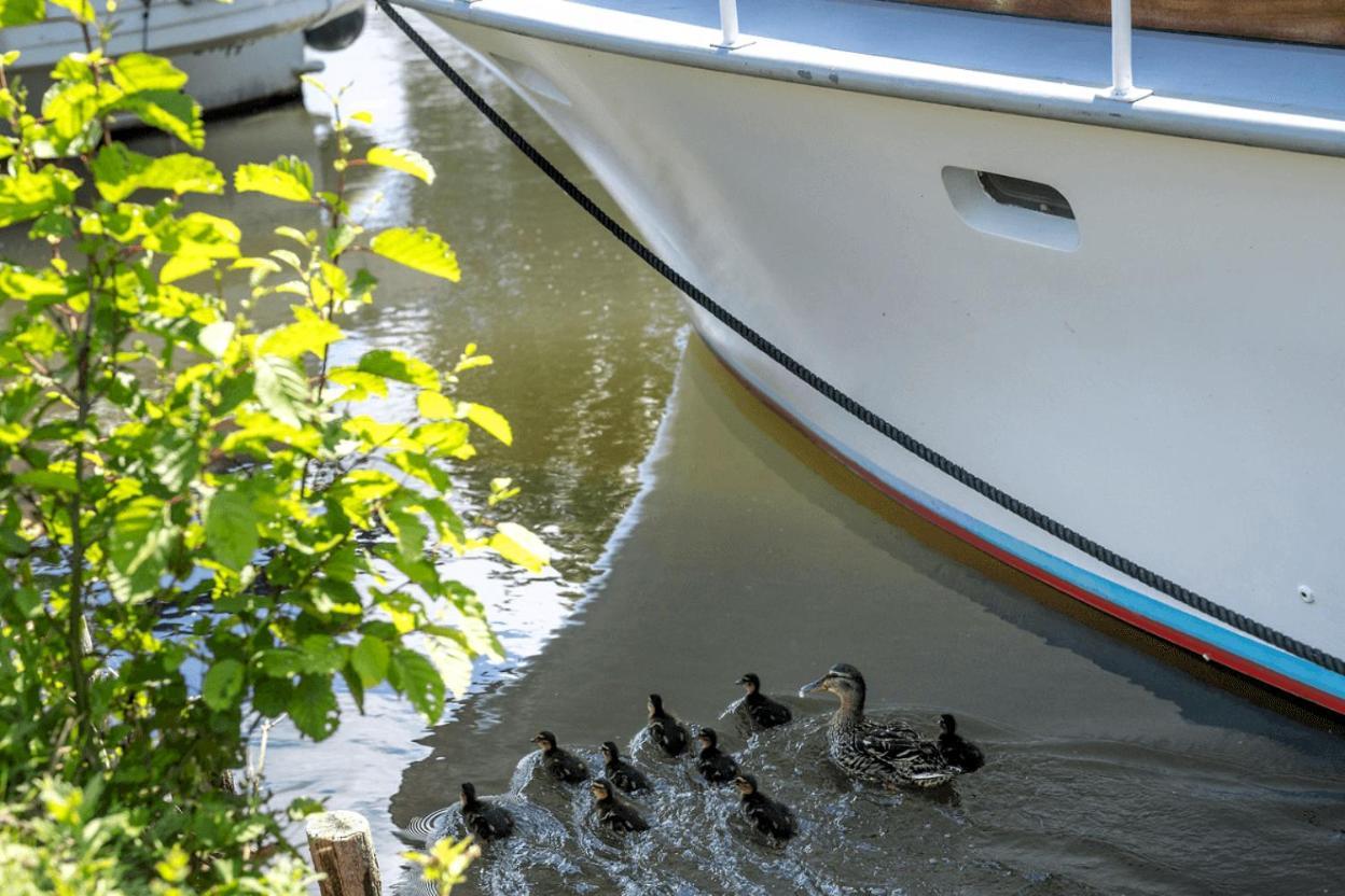 Sealov Hebergements Insolites- Linge, Menage Et Velos Inclus Eaucourt-sur-Somme Esterno foto